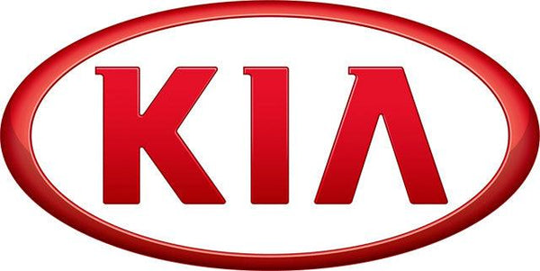KIA 1998-2021 Instrument Gauge Cluster Mileage Correction/Programming Service